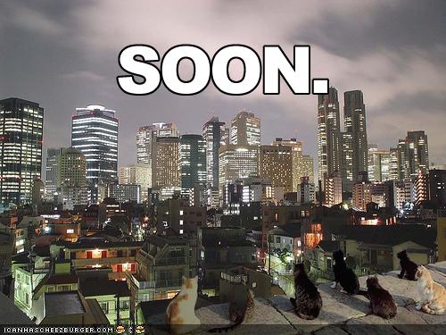 Cats staring at city skyline.  Caption: "Soon."