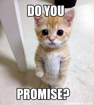 sad kitten: "Do you promise?"