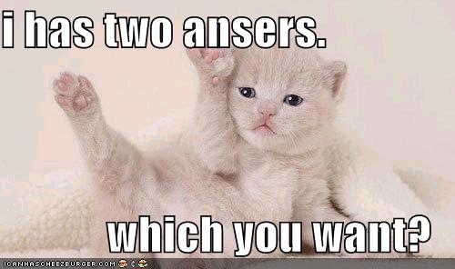 Picture of kitten raising two paws: "i has two ansers.  which you want?"