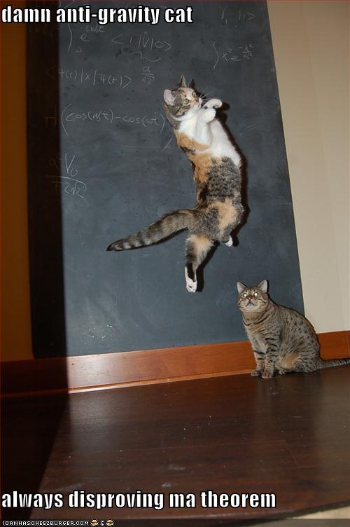 Picture of a floating cat.  "damn anti-gravity cat always disproving ma theorem"