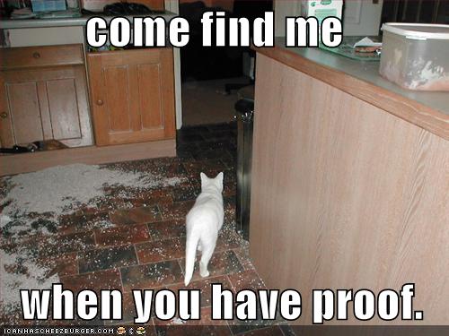 Picture of cat walking through kitchen covered in trash: "come find me when you have proof."