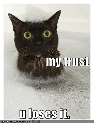Picture of kitten in bubble bath with caption: "my trust, u loses it." 