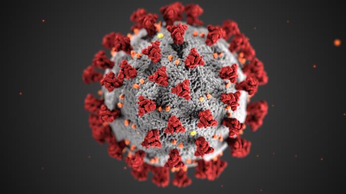 Picture of a coronavirus, by Alissa Eckert, MS and Dan Higgins, MAMS, courtesy of the CDC